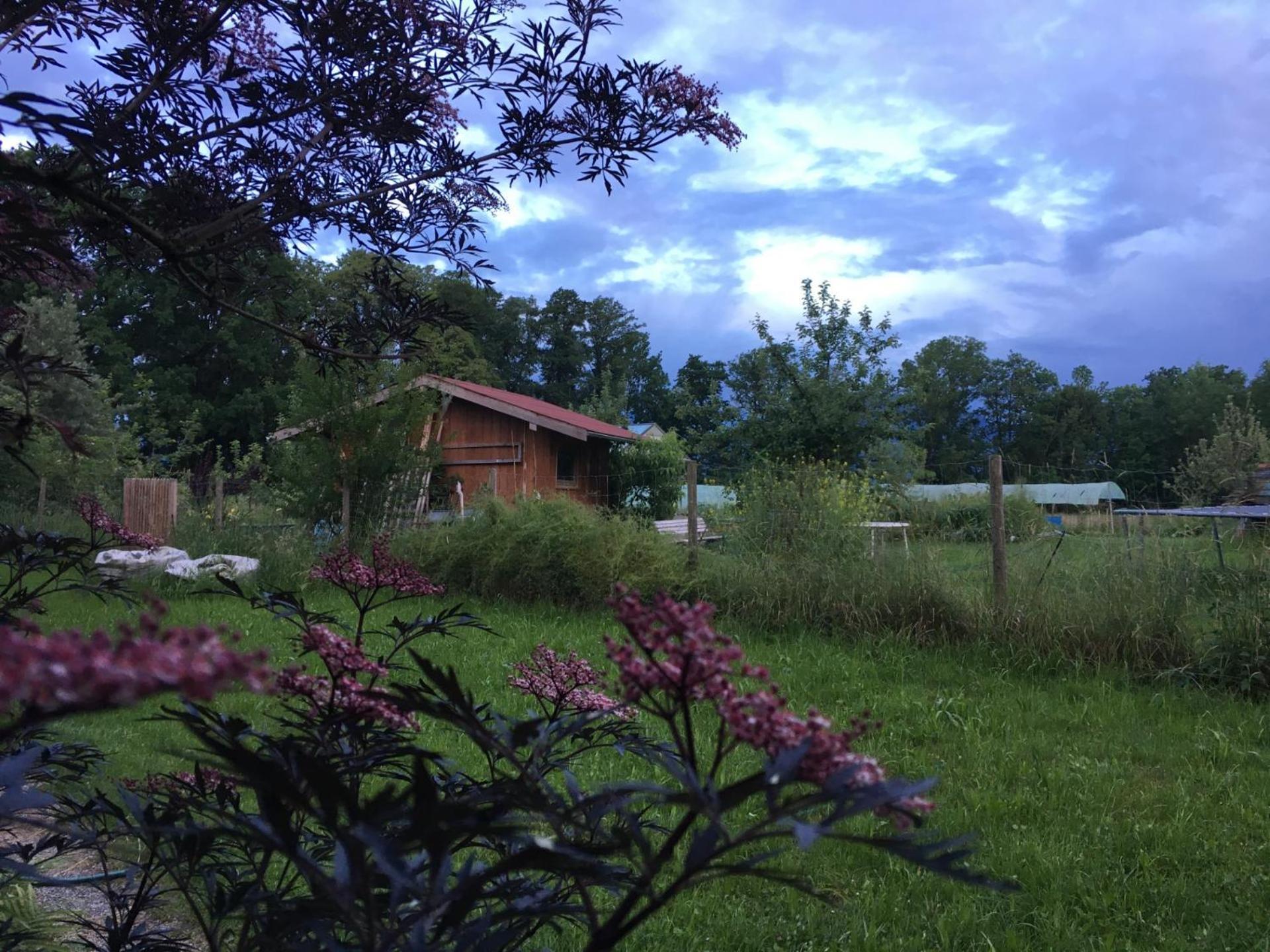 Ferien Haus Am Feldgarten Mit 160 Qm Fuer 2 Bis 9 Personen ラウブリング エクステリア 写真
